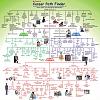 Click image for larger version

Name:	Career Path.jpg
Views:	1292
Size:	19.7 KB
ID:	41299