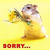 Click image for larger version

Name:	sorry.jpg
Views:	649
Size:	5.8 KB
ID:	139336